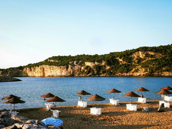 Café au champignon adaptogène : l'allier bien-être naturel