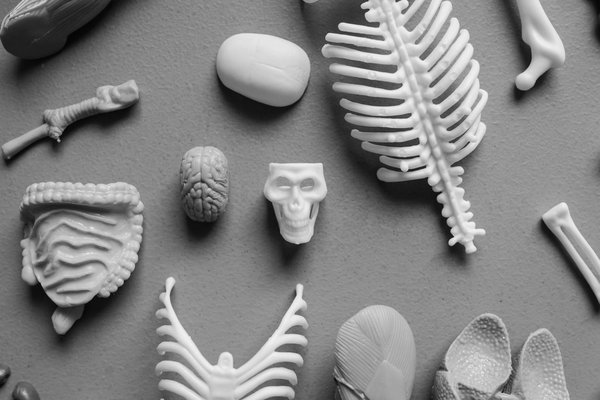 Découvrez les bienfaits incroyables du matcha pour votre santé