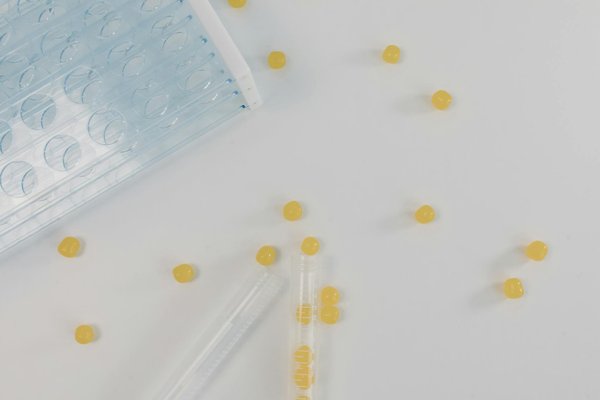 Le café aux champignons adaptogènes : boostez votre bien-être naturel